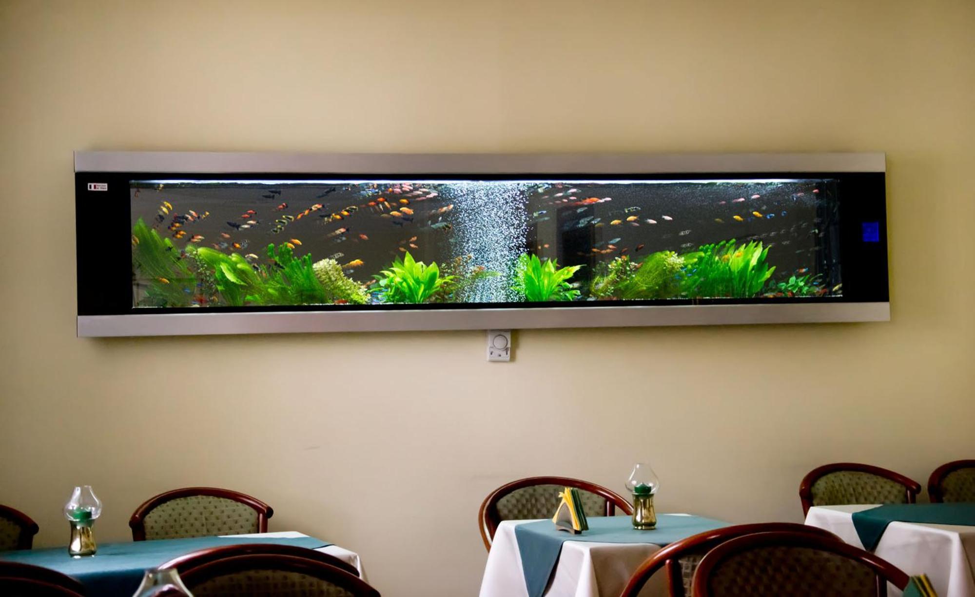 Hotel בראשוב מראה חיצוני תמונה